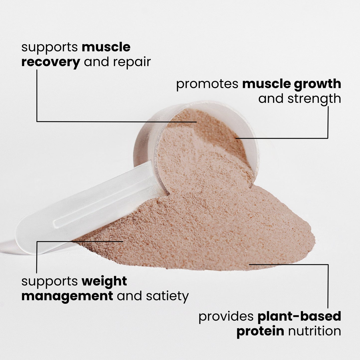 TruForm Plant Protein (Chocolate)