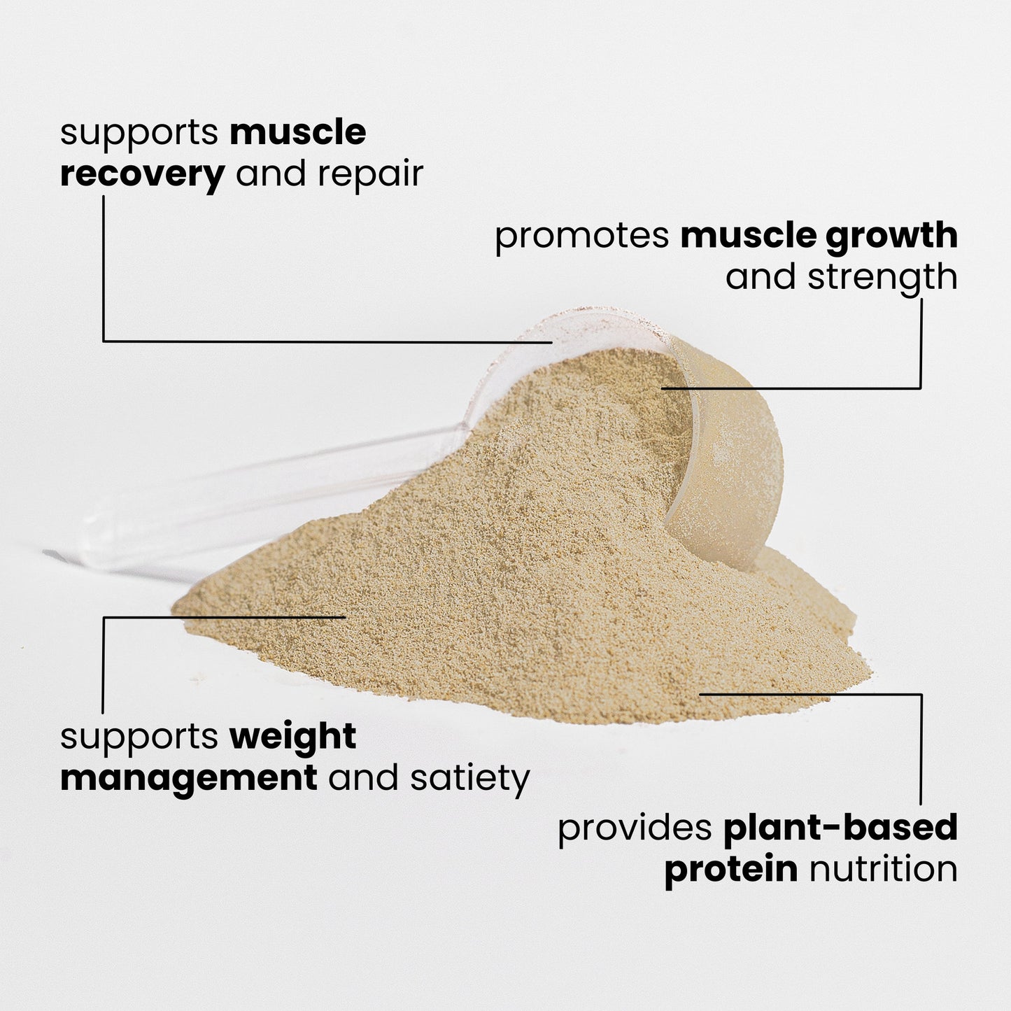 TruForm Plant Protein (Vanilla)