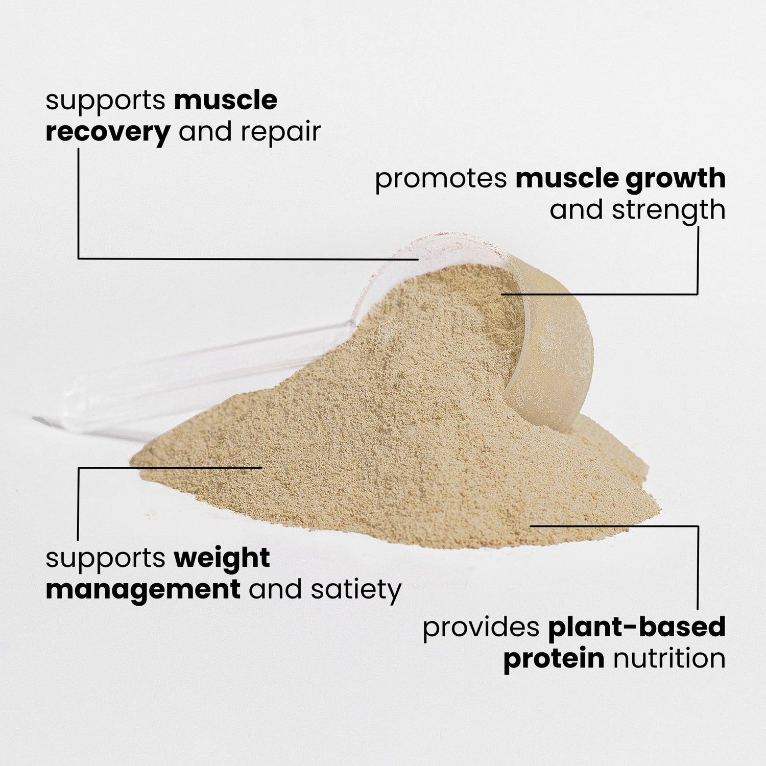 TruForm Plant Protein (Vanilla)