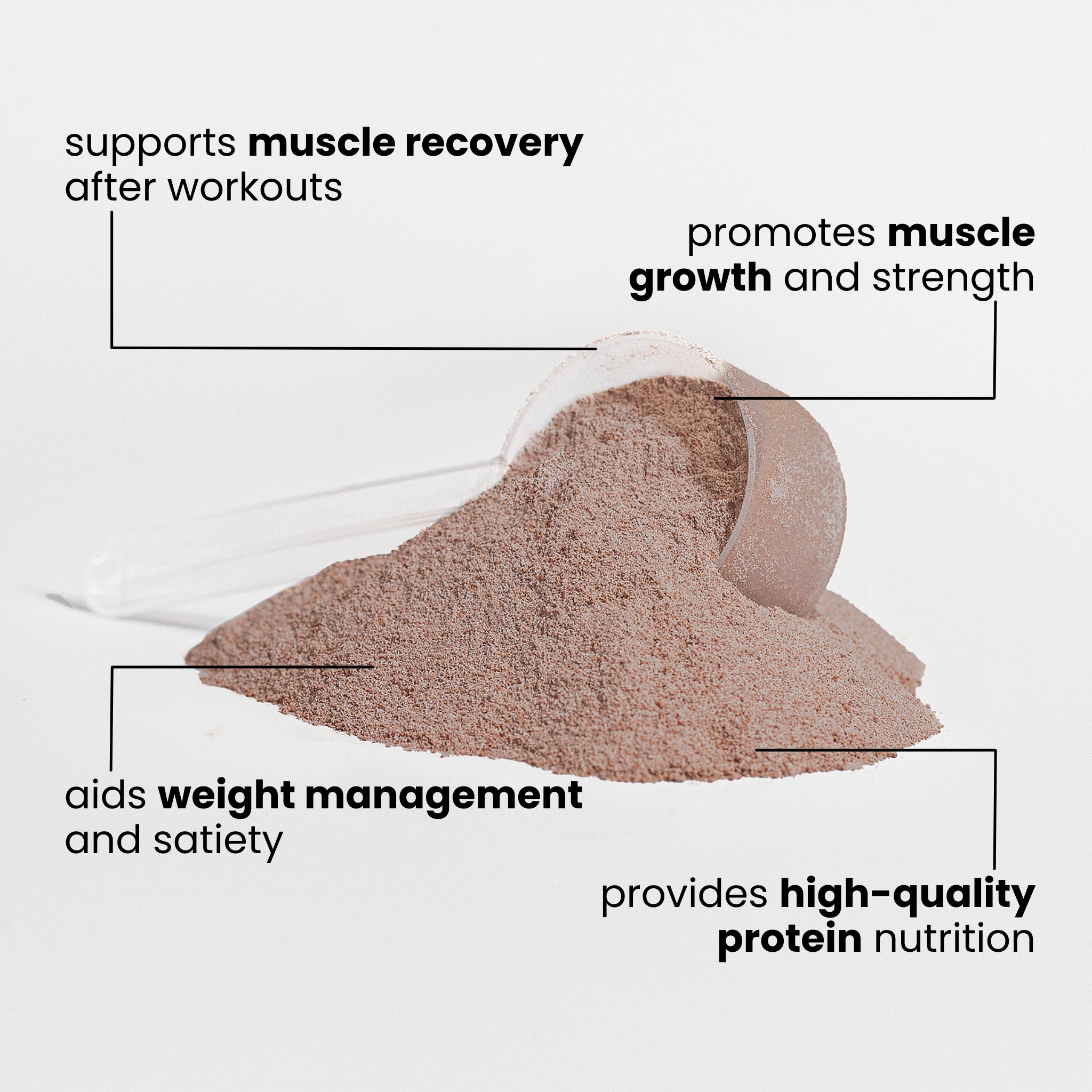 TruForm Whey Elite (Chocolate)