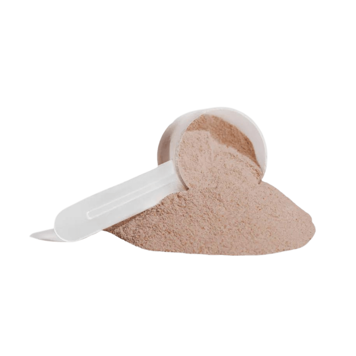 TruForm Plant Protein (Chocolate)